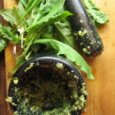 Púpavové pesto s makom