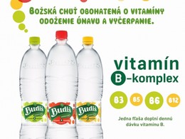 Budi vitamn B-komplex: Bosk chu vitamnov
