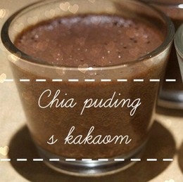 Kakaov chia puding